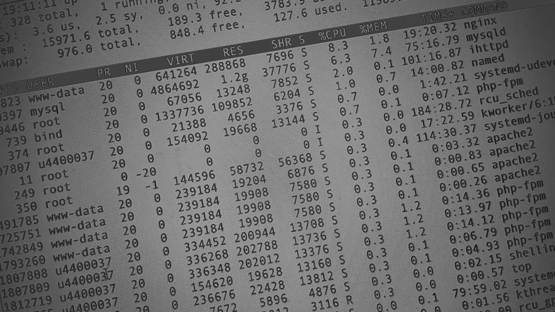 Настройка сервера в Зверево Настройка сервера в Зверево