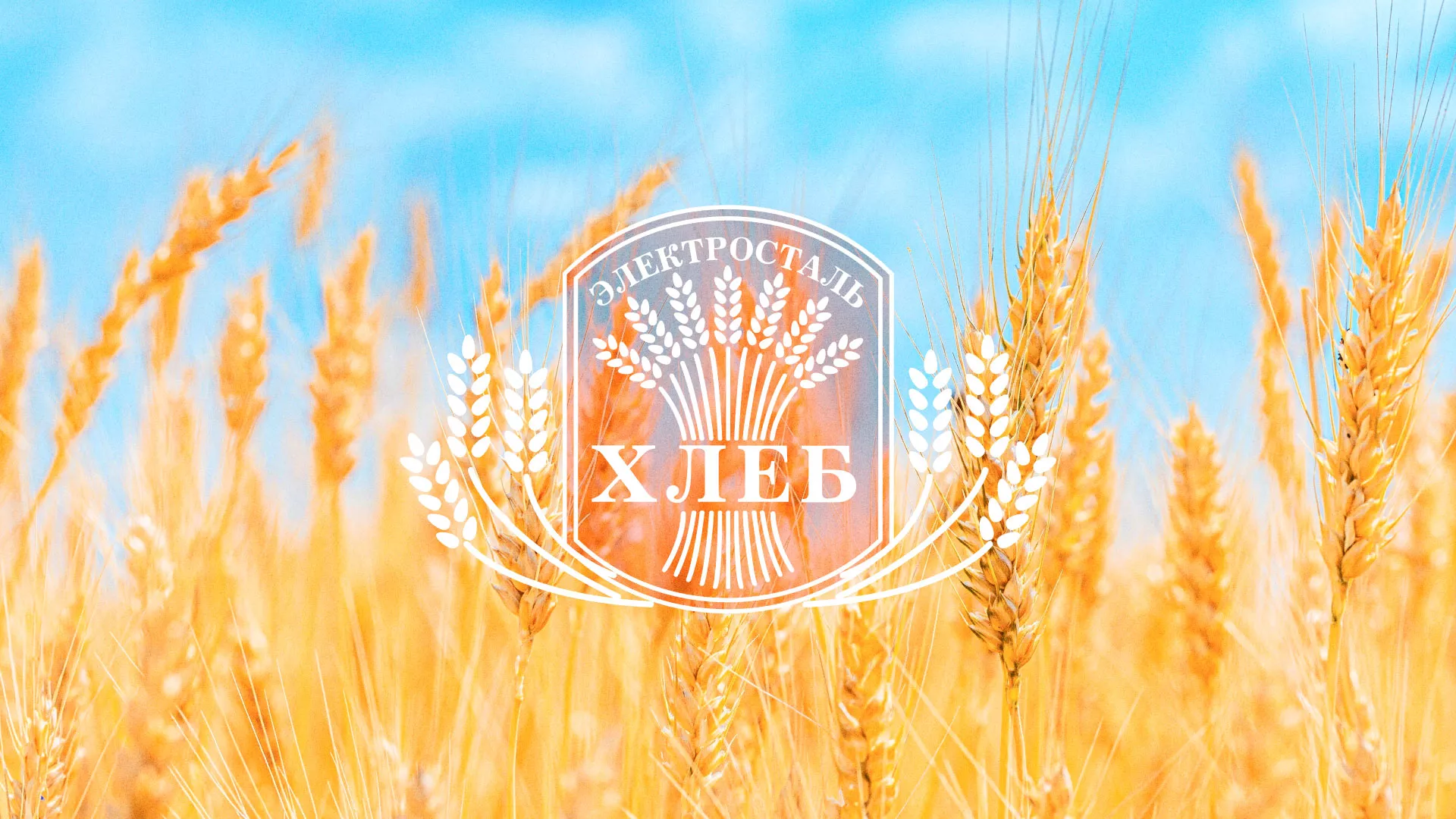 Создание сайта для хлебзавода в Зверево