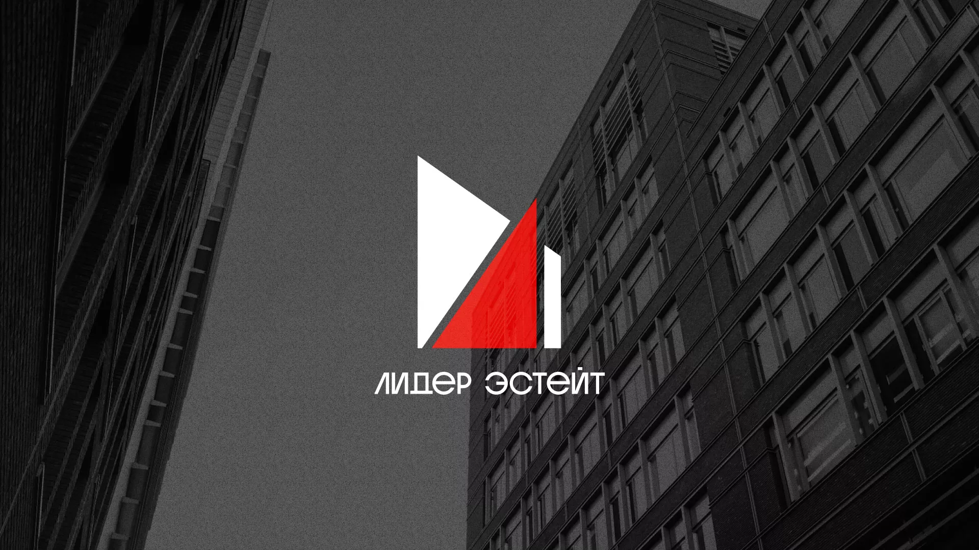 Сделали логотип для агентства недвижимости «Лидер Эстейт» в Зверево